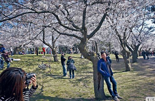 星岛日报资料图